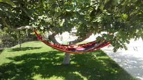 AUGUSTO HOLIDAY HOUSE - TULIP APARTMENT - Image 5