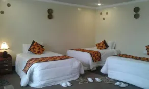 Da Vinci Gorilla Lodge - Image 2
