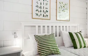 Cassiopeja - Image 5