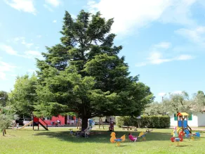 Holiday Home Cisano & San Vito-2 by Interhome - Image 3