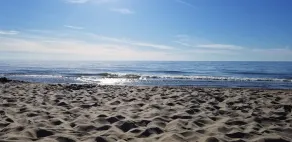 Lovely vacation home, woodsy setting, walk to Warren Dunes, patios, porch, yard! - Image 4