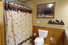Burntside Lake-Home, Cabin & Sauna, Come & Enjoy The Serenity, Beauty & Wildlife - Image 5