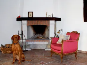 Topolovec historic Istrian rustic villa on the hilltop of Slovenia coast - Image 2