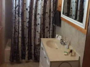 1929 Bonanza Log Cabin - Image 3
