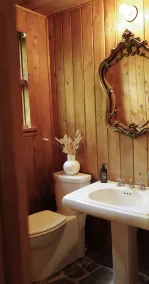 Cozy Cabin on 84 acres with creek and spring fed pond - Image 3