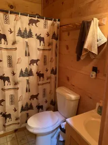 Coyote Lodge, Cooks Forest, Pa - Image 4