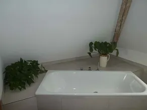 Holiday apartment in the heart of the Palatinate Forest/Northern Vosges Biosphere Reserve - Image 3