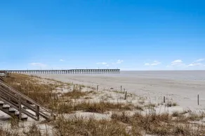 Yellow Bird - Image 5
