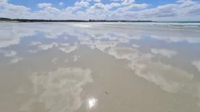 By the sae, one-bedroom apartment in Roscoff - Image 4