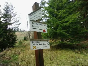 Dejlig møbleret lejlighed i en massiv Vosges hus - Image 3