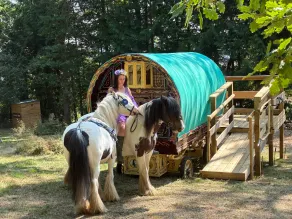 2 Guests - Pet Friendly - Traditional Gypsy Vardo - Image 4