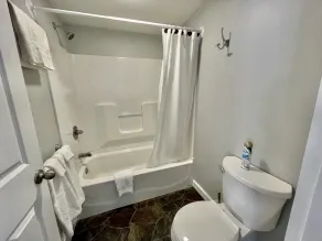 Lovely and Spacious Studio with Full Bath and Kitchen! - Image 2