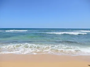 Islander on the Beach 259 "Drift Away" A Oceanview Studio - Image 3