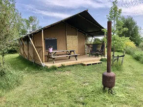 Comfortably furnished safari tent in the Dutch countryside - Image 5
