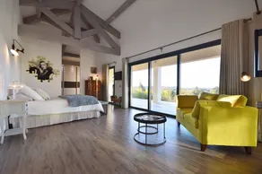 Uzès Center: Fremragende ejendom på 275 m² med opvarmet pool og have - Image 4