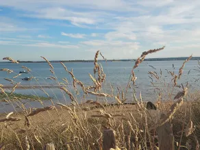 Quiet fisherman's cottage, 400 m from beach, sea view. Ideal for families - Image 5