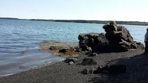 Kajaker, örnar, tätningar alla med en privat strand och stuga på havet! - Image 3