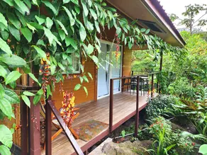 Ecoresort:  We are Panamas leading honey producer and  butterfly exhibit. - Image 5