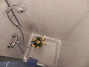3-huoneen Huoneisto \"Am Roßplatz\", Sis. Fi ja Jopa 8 Henkilöä Parveke. Autotalli - Image 2
