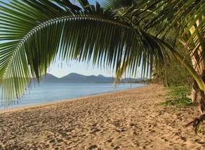 Casa Bella Vista - Luxus Haus am Strand in der Nähe von Great Barrier Reef - Image 3