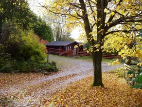 'Pinelodge' - casa de vacaciones - LLANTRISANT - 12 millas de CARDIFF. - Image 5
