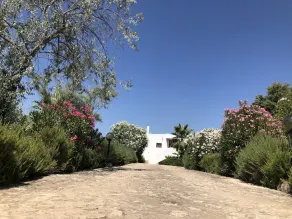 Private Alghero Villa with Pool, 2500m² Garden & Free WiFi - Image 3