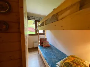 Alpine ski apartment - Petit Chatel - Image 5