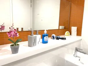 Arcoris Mont Kiara , nearby163 Kiara Mall - Image 2
