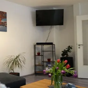 Modern vacation apartment in a quiet location - Image 2