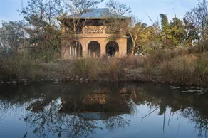 Jim's Jungle Retreat - Image 3