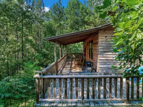 Twin Cedars Cabin in the Woods!  Birders paradise near Sipsey and Bankhead - Image 5