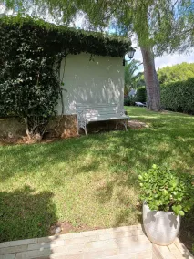 CASA LOLA - Image 5