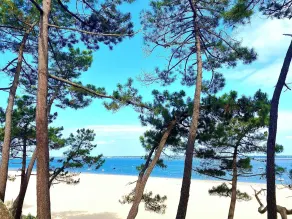 Abatilles\" neighborhood, pretty Arcachon village near beaches, forest, Moulleau... - Image 2