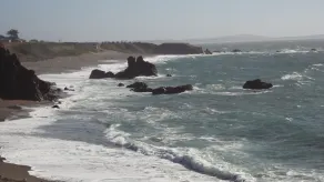 Best views on Sonoma Coast!Oceanfront,private hot tub, fire pit, pets considered - Image 4