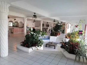Hotel Marina Palace Tequesquitengo - Image 3