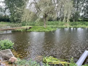 Nature Room - Image 2