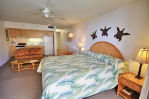 ALOHA ~ Mettez vos pieds et détendez-vous - Vue sur l'océan à un prix avantageux!  Kahana Studio w / AC - Image 4