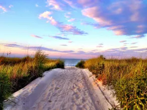 Delaware Beach Bliss - étapes de la plage - Image 4