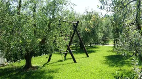 10 minutes from the sea! Apartment with swimming pool and veranda. - Image 3