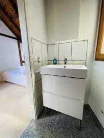 Historic vacation home on the Main, 110 sqm, large terrace, modern and renovated - Image 5