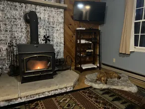 Lakefront, Wooded, & Secluded Home - Family Dogs Welcome. - Image 2