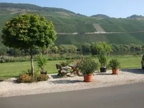 Moselstrand 2 uniquely beautiful location directly on the Moselle, on the Moselle cycle path g - Image 5