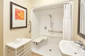 1 Bedroom | Free Breakfast, Indoor Pool Access - Image 4