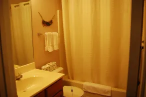 Duplex Cabin A & B (Both Sides) @ LakePointe Resort - Image 3