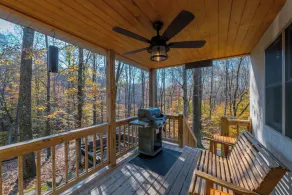 Cherry Ridge Retreat -The Observatory Romantic Pool Cabin with hot tub and cold plunge! - Image 4