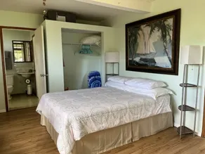 Beautiful ocean views located minutes away from Waipio Valley - Image 4
