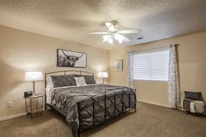 The Manor in north Austin - Image 4