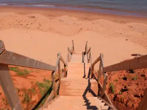 Stunning ocean vistas - dramatic coastline, fantastic beach. - Image 4