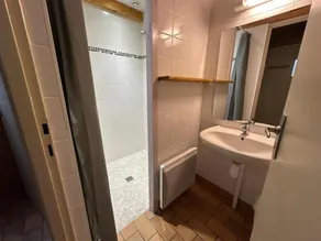 Les hélianthèmes - Image 3