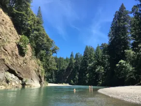 Glamping in the Redwoods, with a hot tub! The Orchard - Image 2